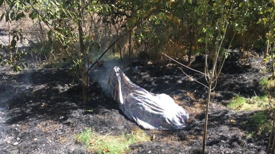 Anız yakmak istedi, sonu korkunç!