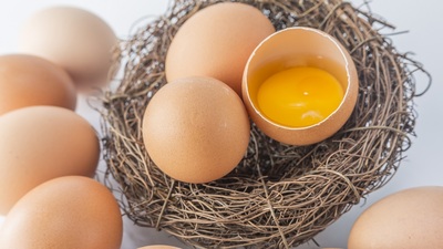 Yumurta ihracatında dünya üçüncüsüyüz