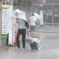 Hagibis Tayfunu'nda ölü sayısı artıyor