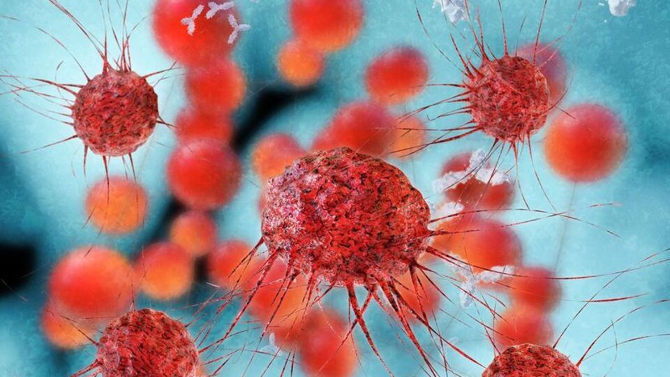 'Kanseri ancak kanser uzmanları tedavi edebilir'