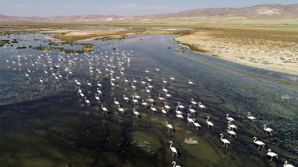 Korkutan Türkiye uyarısı!