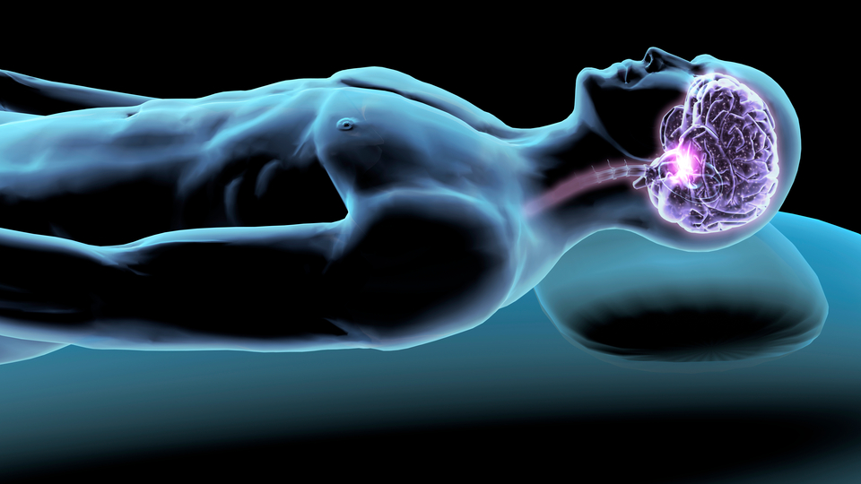 Rüyalar bize mesaj mı veriyor?