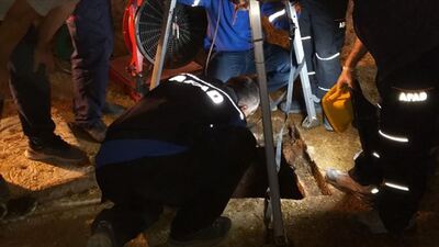 Kurtarmak istediler ama aynı yerde can verdiler!