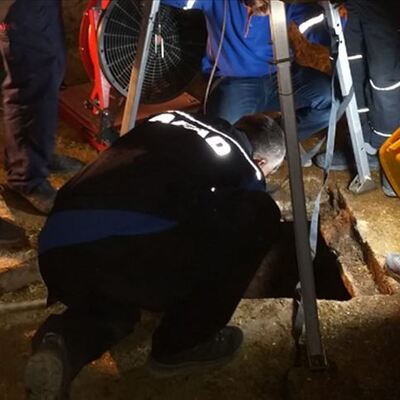 Kurtarmak istediler ama aynı yerde can verdiler!