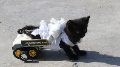 Oyuncak kamyondan yürüteç yaptılar