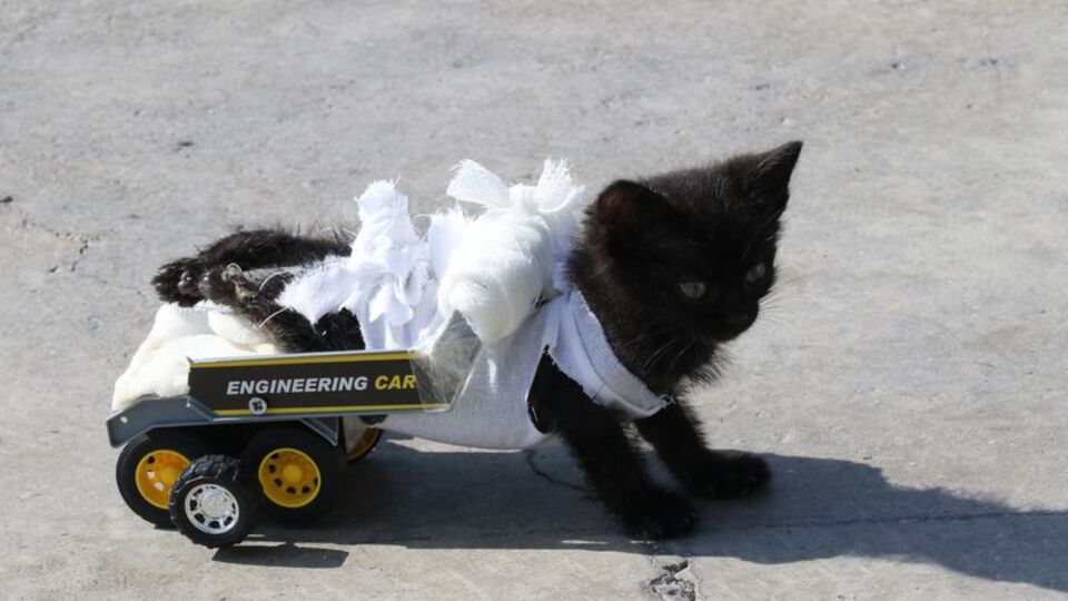 Oyuncak kamyondan yürüteç yaptılar