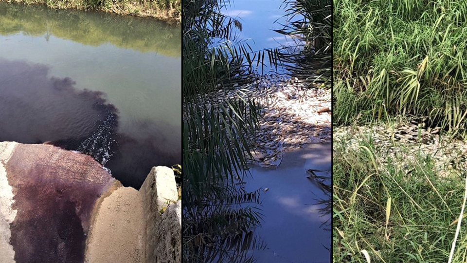 Derede kimyasal atık felaketi!