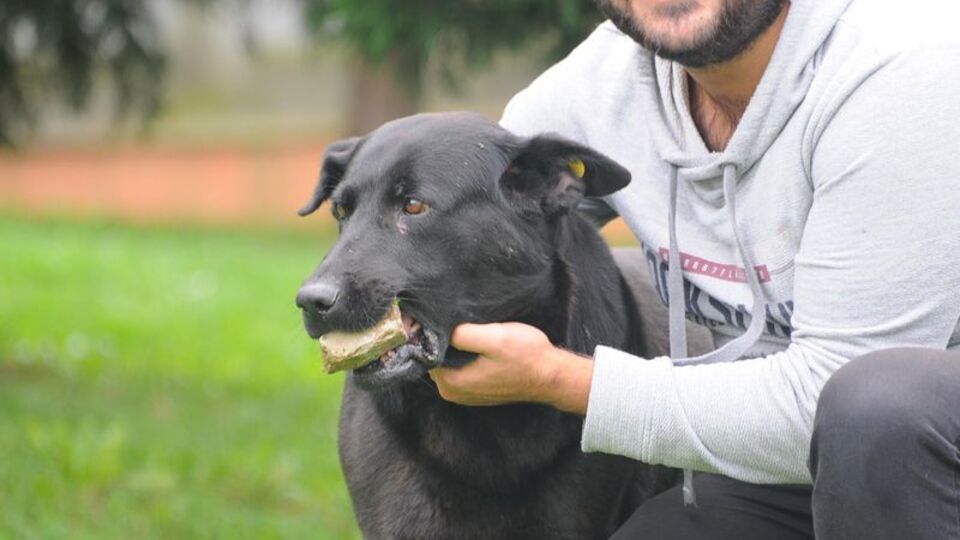 Hüzne boğan hikaye! Taşı hiç bırakmıyor