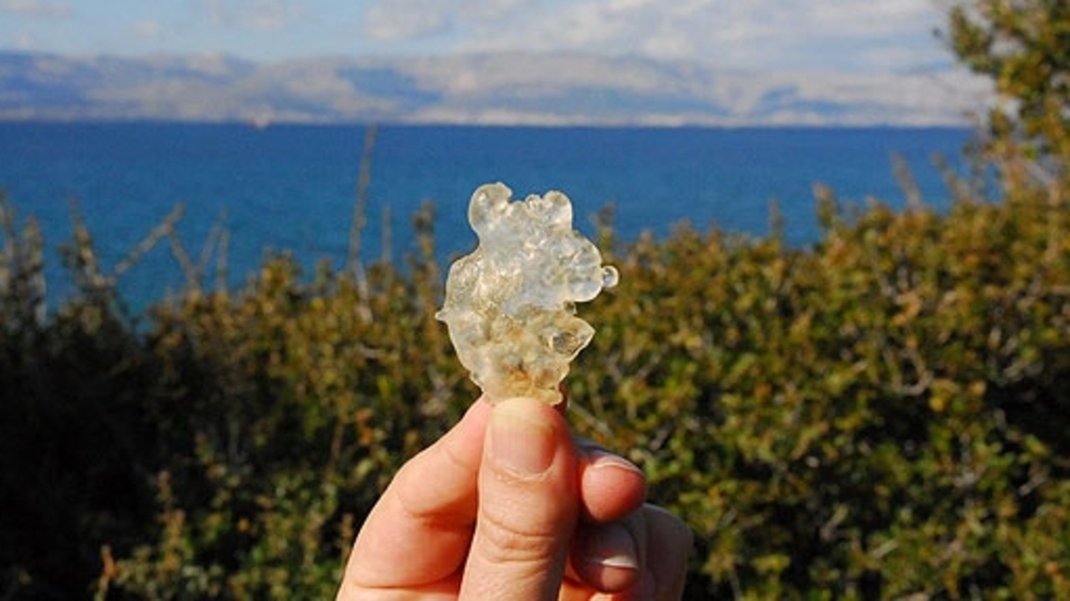 Sakız nasıl yapılır? Doğal malzemelerle sakız üretimi