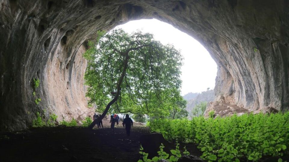 Kartal yuvasını andırıyor!