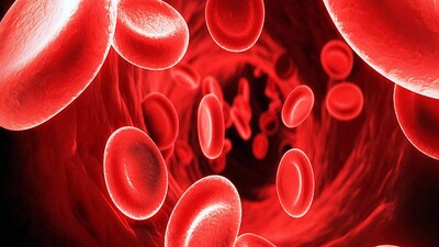 Demir eksikliği nasıl anlaşılır?