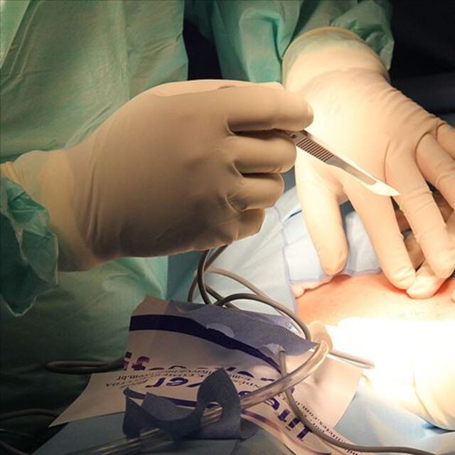 Yılbaşından bu yana 7 bin 263 organ ve doku nakli yapıldı