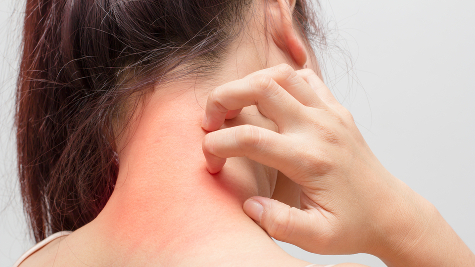 Egzama nasıl anlaşılır?