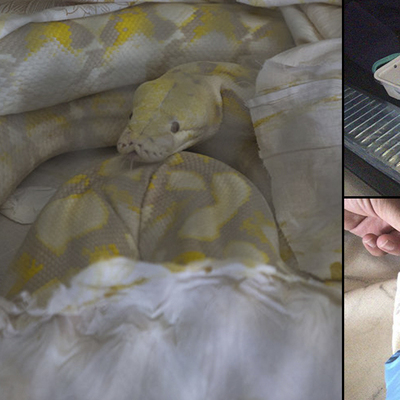 Sınırda araçtan çıkanlar şok etti