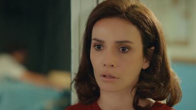 Bir Aile Hikayesi neden final yaptı?