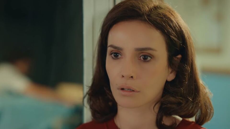 Bir Aile Hikayesi neden final yaptı?