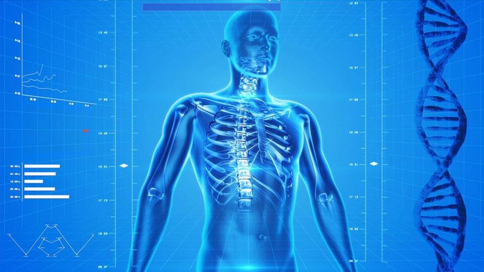 Osteoporoz kalıcı sakatlık sebebi!