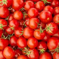 Karatay: Sofrada yeri yok