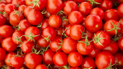 Karatay: Sofrada yeri yok