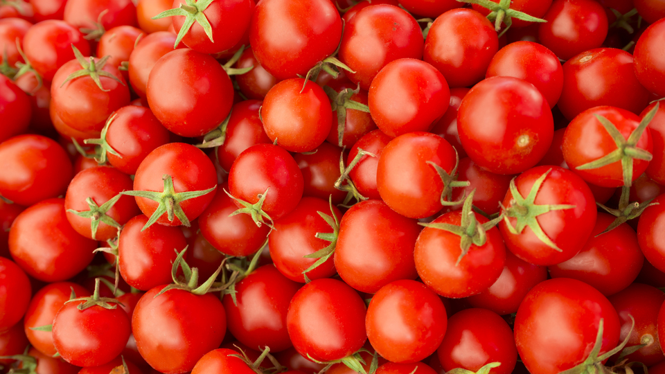 Karatay: Sofrada yeri yok