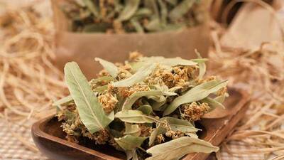 Ihlamur paketleme işi veren firmalar