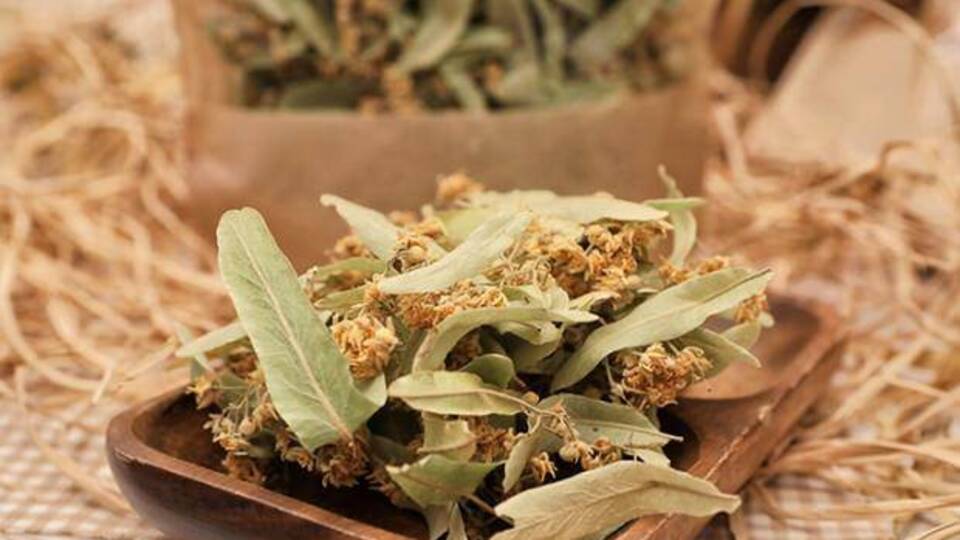 Ihlamur paketleme işi veren firmalar