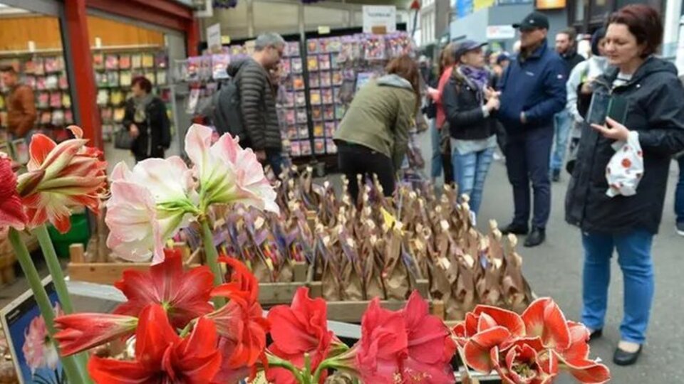 Amsterdam Çiçek Pazarı'nda turistler 'kandırılıyor'