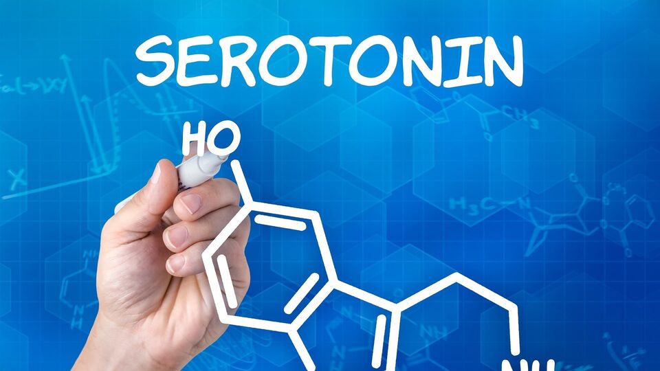 Serotonin içeren gıdalar?