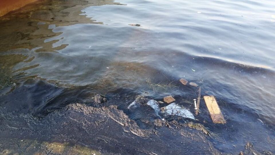 Denize atığa 144 bin lira ceza