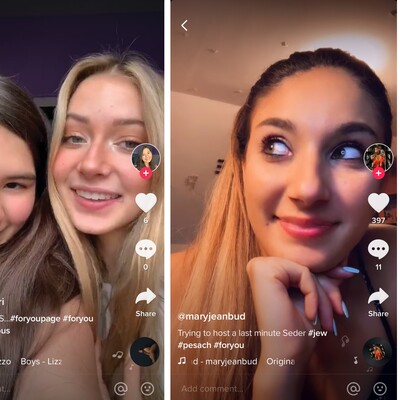 'TikTok ulusal güvenliğe tehdit olabilir'