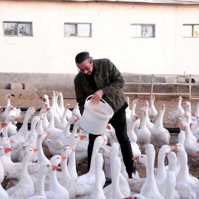 'Kazbank'a SPK'dan itiraz!