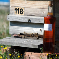 Bal sirkesi nasıl yapılır?