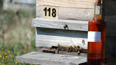 Bal sirkesi nasıl yapılır?