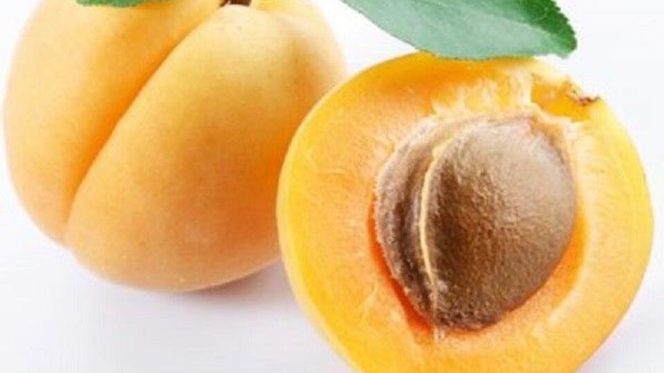 Kayısı sirkesi nasıl yapılır?