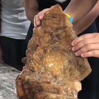 Sahilde yürürken 'yüzen altın' buldu