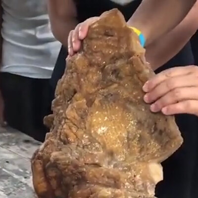 Sahilde yürürken 'yüzen altın' buldu