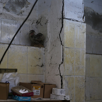 DASK'tan 1.4 milyon liralık ödeme