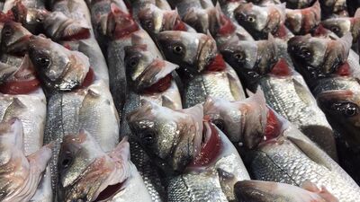 Balıkta büyük hile! Bunu da yaptılar