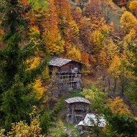 Artvin fotoğraf tutkunlarını cezbediyor