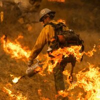 LeBron James ve Arnold Schwarzenegger evlerini terk etti