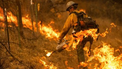 LeBron James ve Arnold Schwarzenegger evlerini terk etti