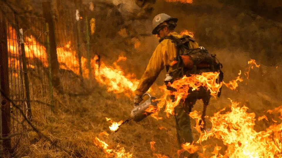 LeBron James ve Arnold Schwarzenegger evlerini terk etti