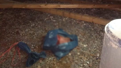 Almanya'da cami inşaatına çirkin saldırı