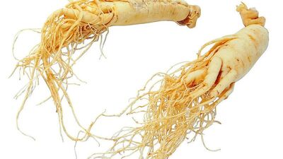 Ginseng nedir? Faydaları ve zararları nelerdir?