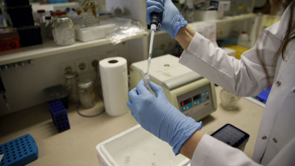 Östrojen nedir? Östrojen hormonu ne işe yarar?