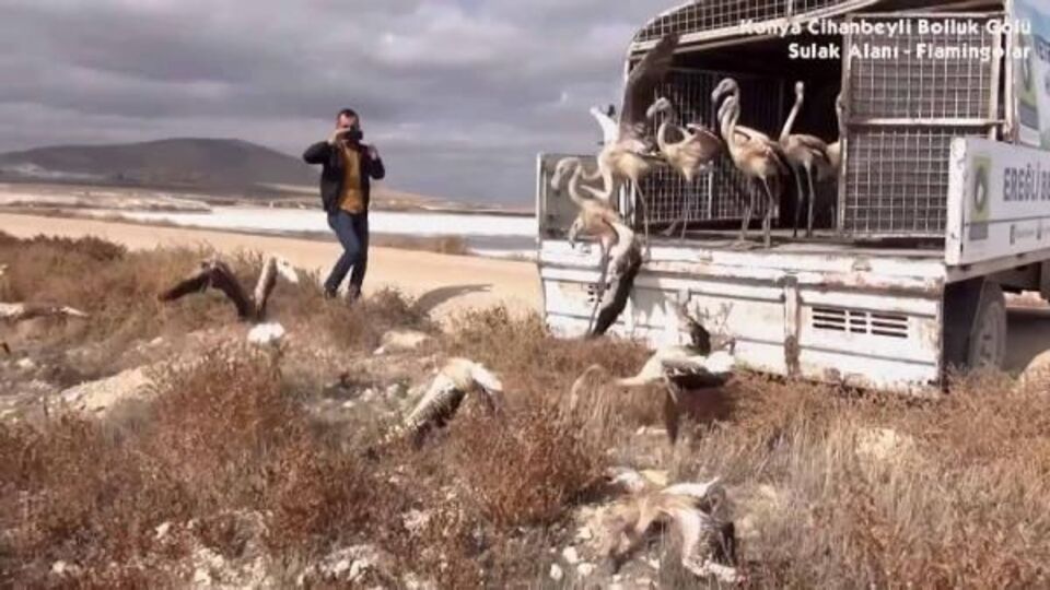 16 bin TL'lik cezaya utanmaz yanıt!