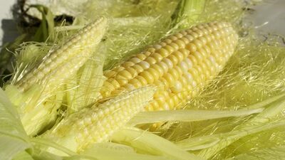 Evde mısır püskülü temizleme işi veren firmalar