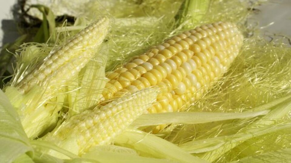 Evde mısır püskülü temizleme işi veren firmalar