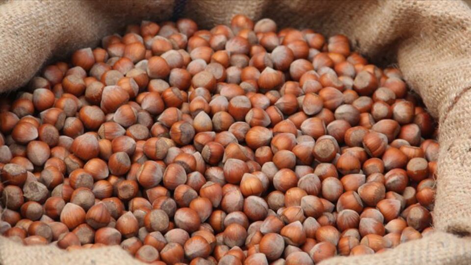 FİSKOBİRLİK'ten fındık fiyatı açıklaması