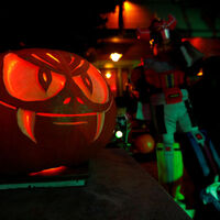 Cadılar Bayramı bugün mü?